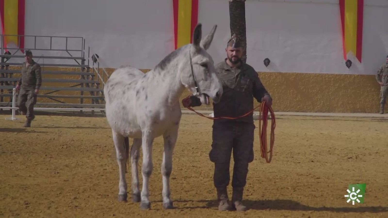 Centro Militar de Cría Caballar de Écija Burro foto interior noticia