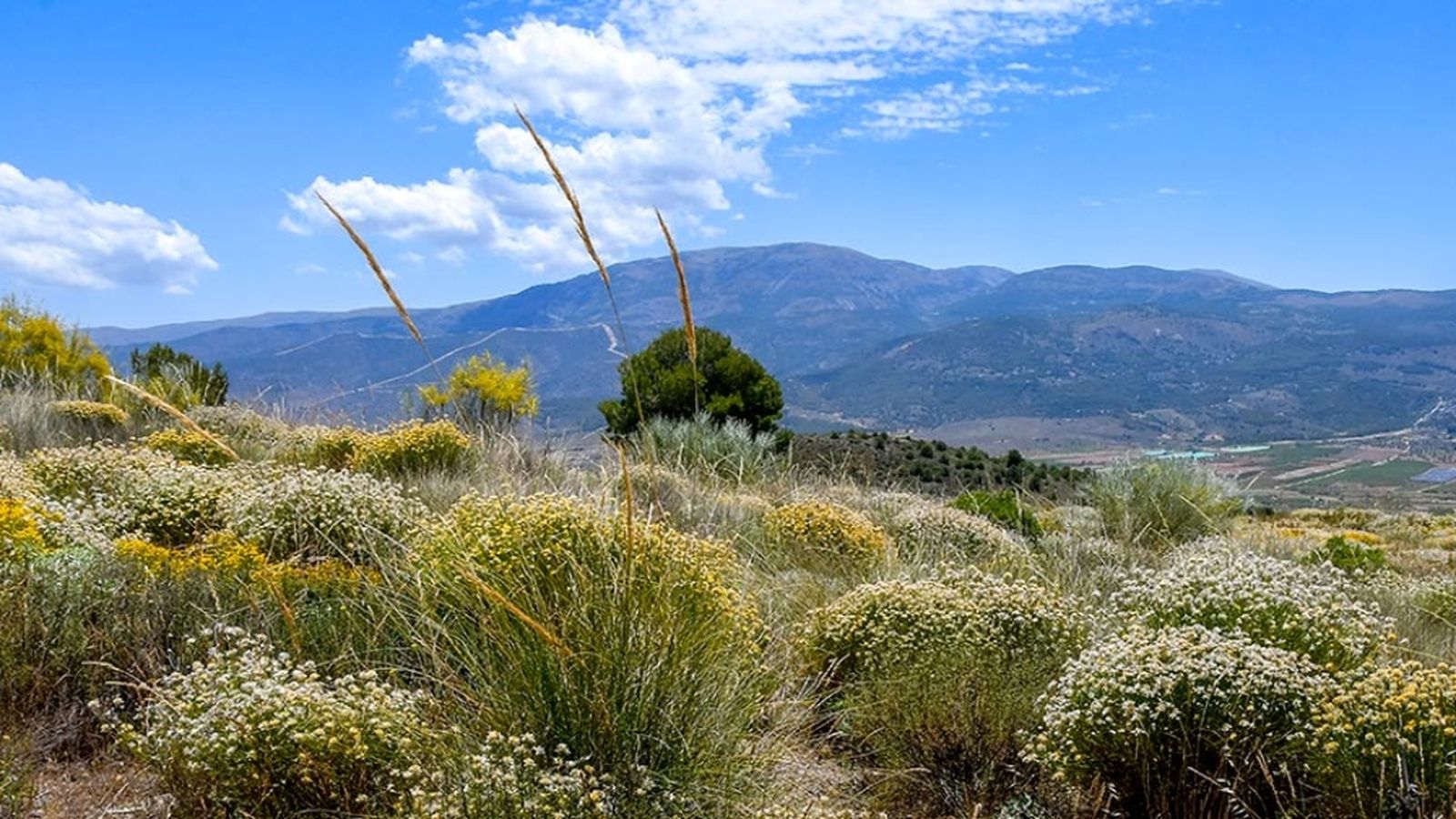Andalucia es Naturaleza, 4 mayo