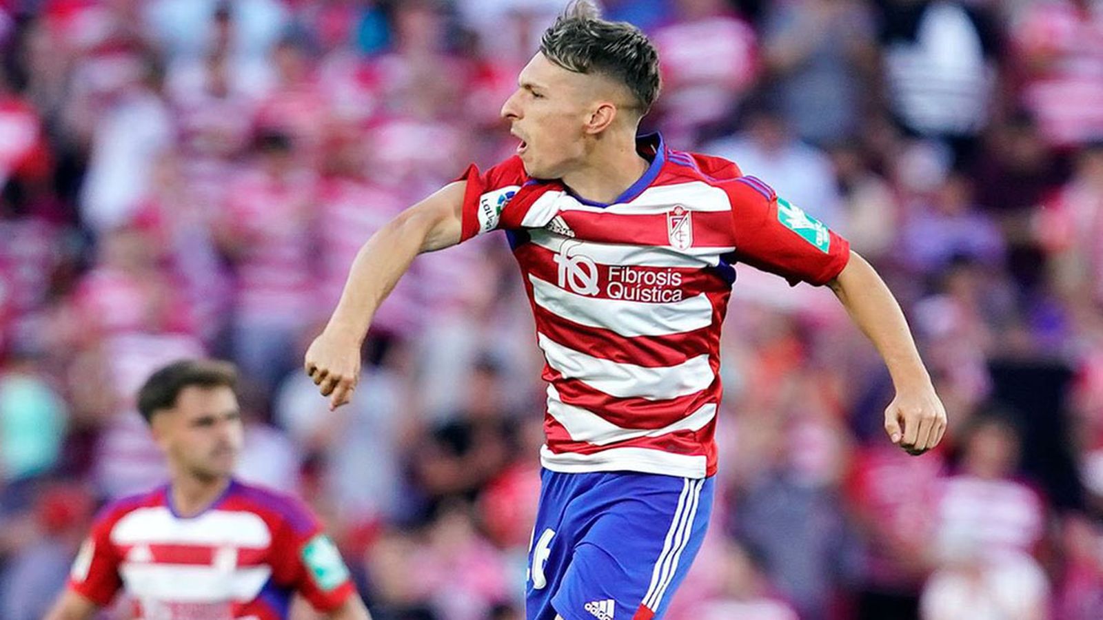 Granada gol