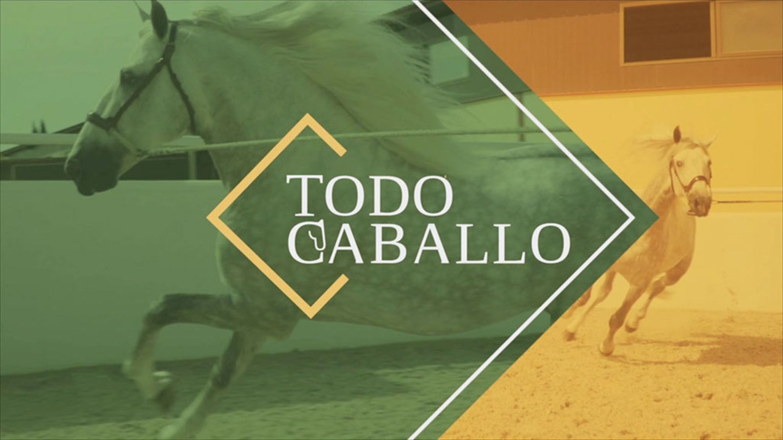 tapa promo todo caballo