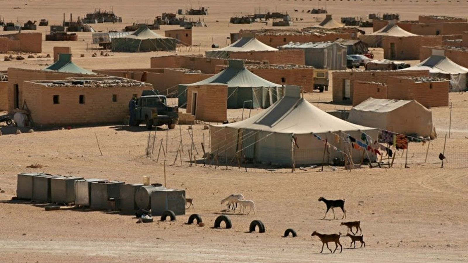 campamentos refugiados saharauis