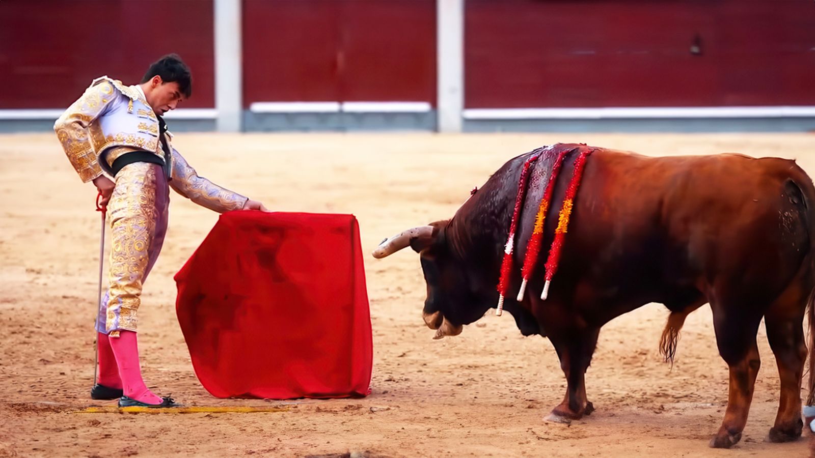 El sueño de un novillero, salir por la Puerta Grande de Madrid