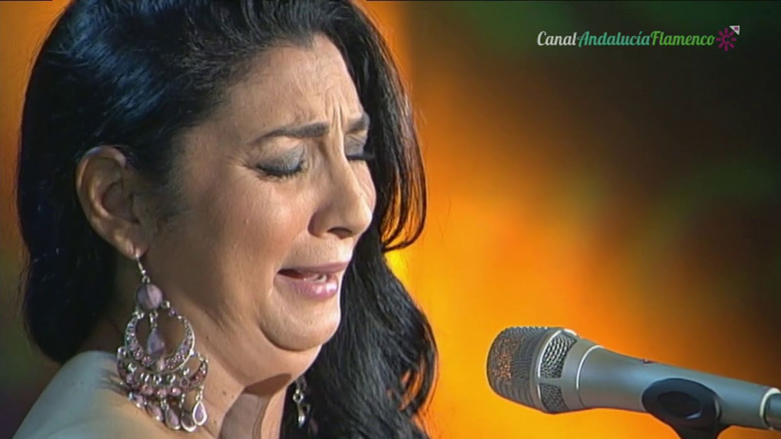 Comunicación Lo Flamenco Luisa Muñoz