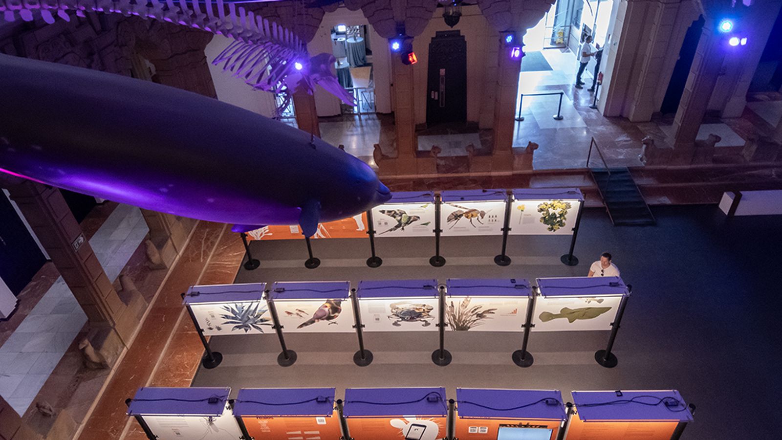 Exposición especies invasoras en la Casa de la Ciencia