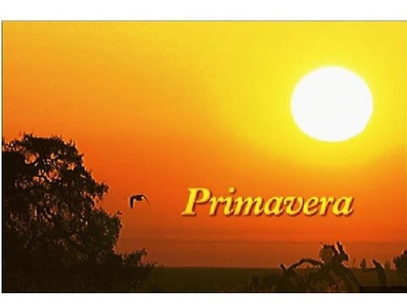 Doñana, el Parque Nacional en Primavera (Cuatro estaciones 1/2)