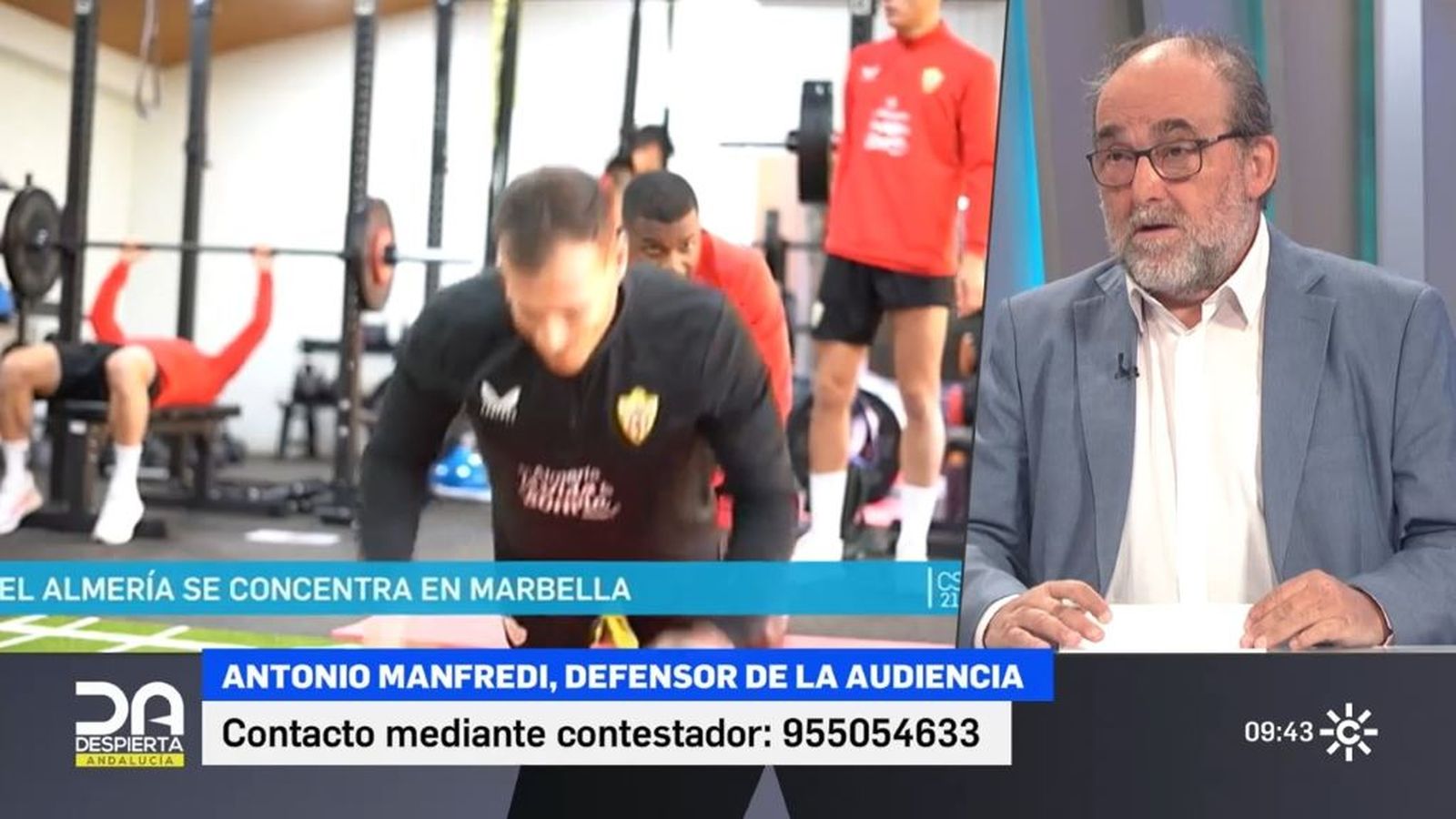 defensor