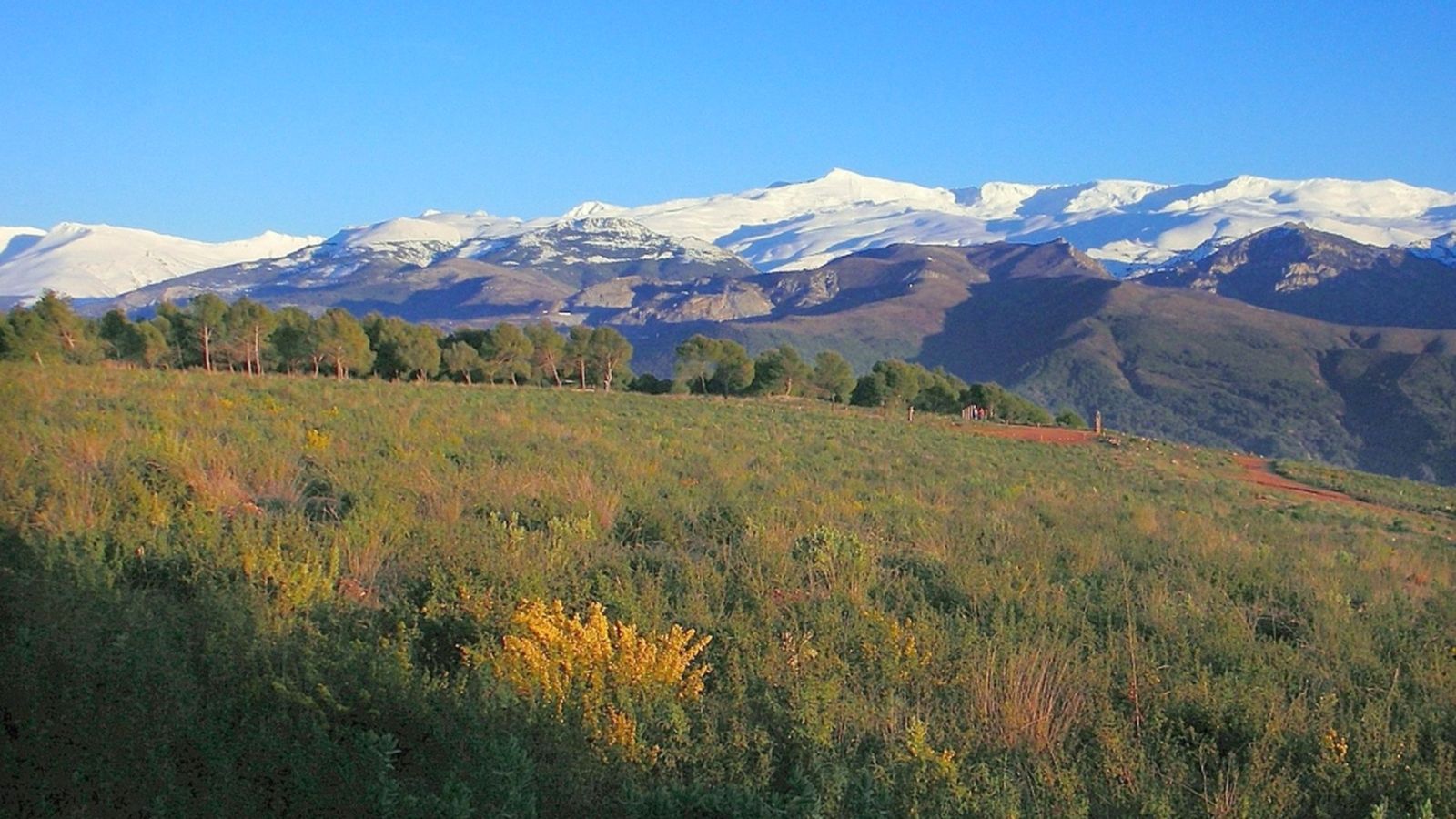 Andalucía es naturaleza