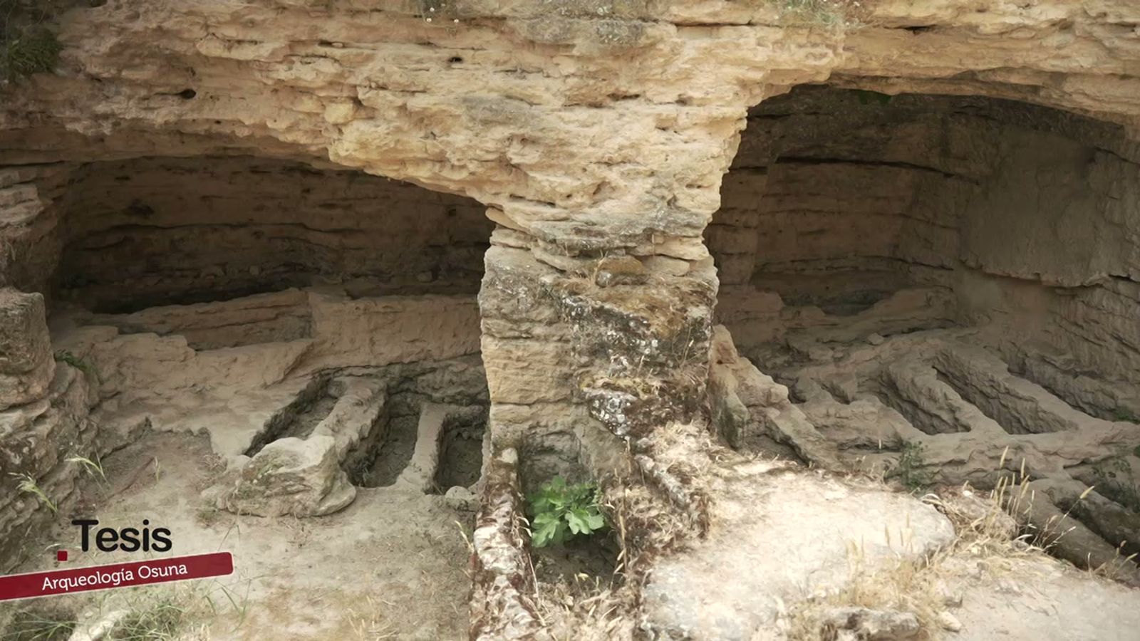 El renacer arqueológico de Osuna