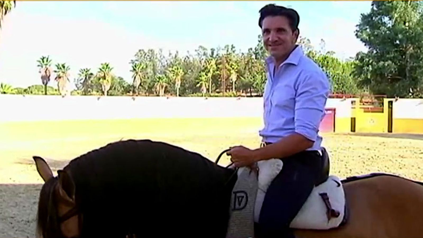 Las estrellas de Diego Ventura, los caballos más toreros