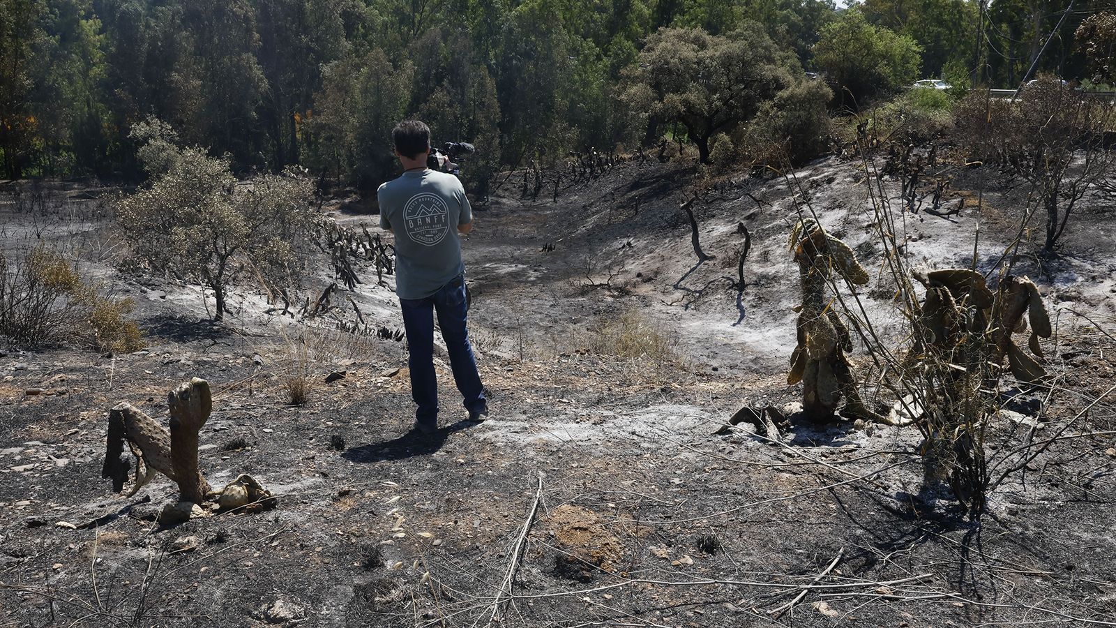 Incendio en el Andévalo