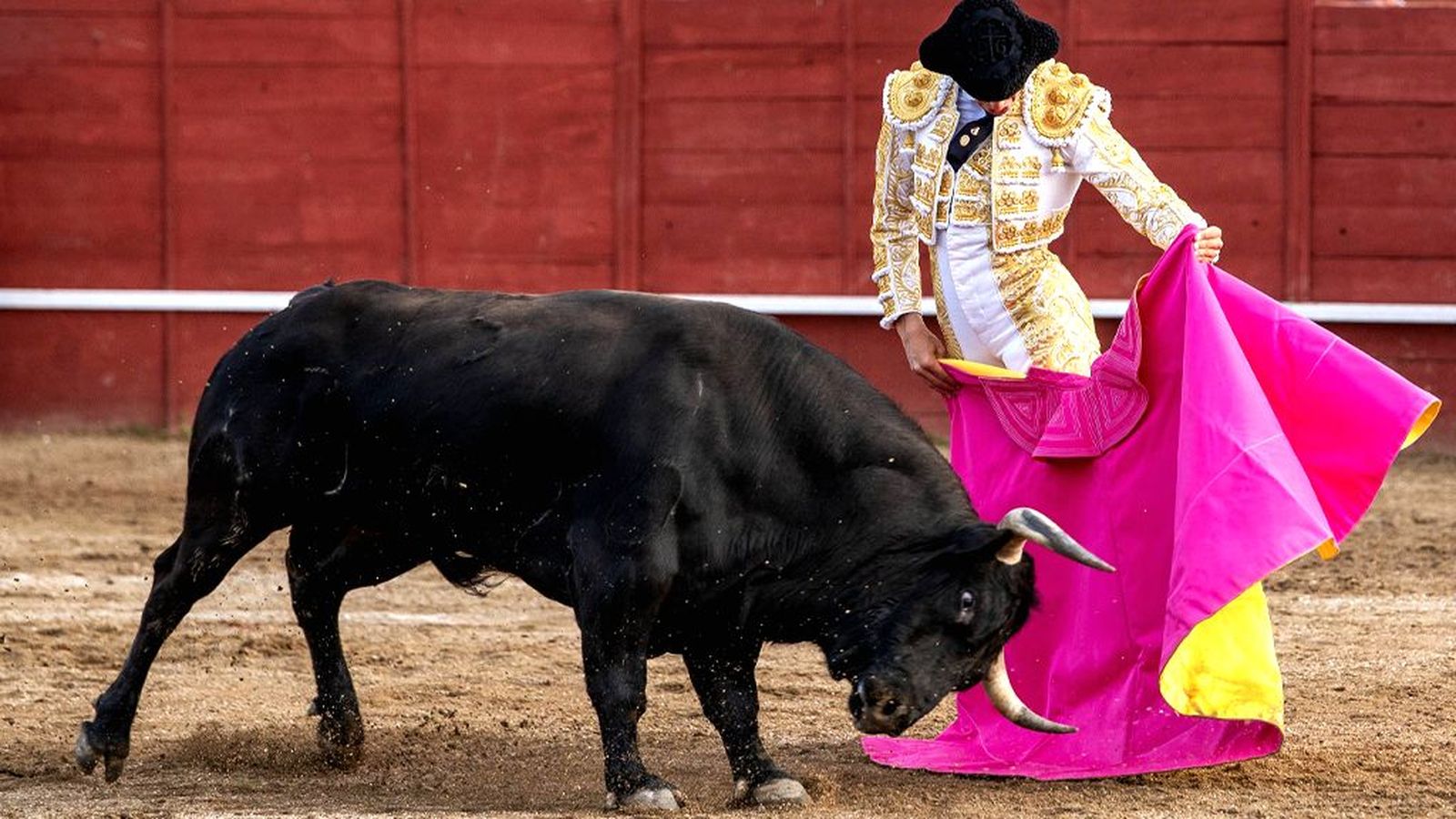 XXXII Ciclo de Novilladas de Andalucía desde El Bosque