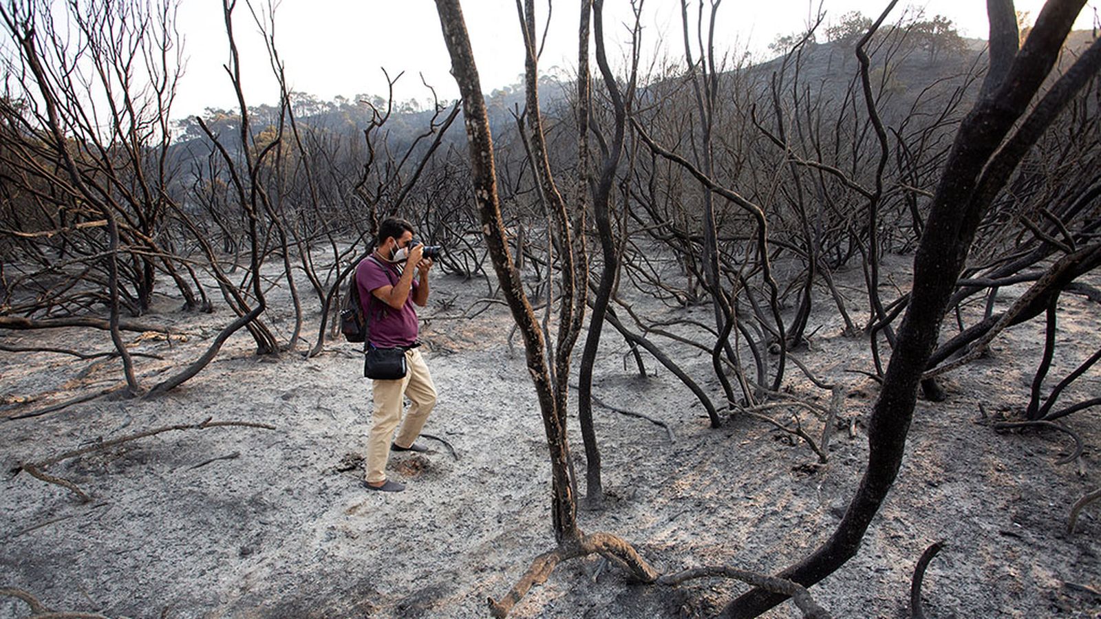 Daños del incendio de Sierra Bermeja