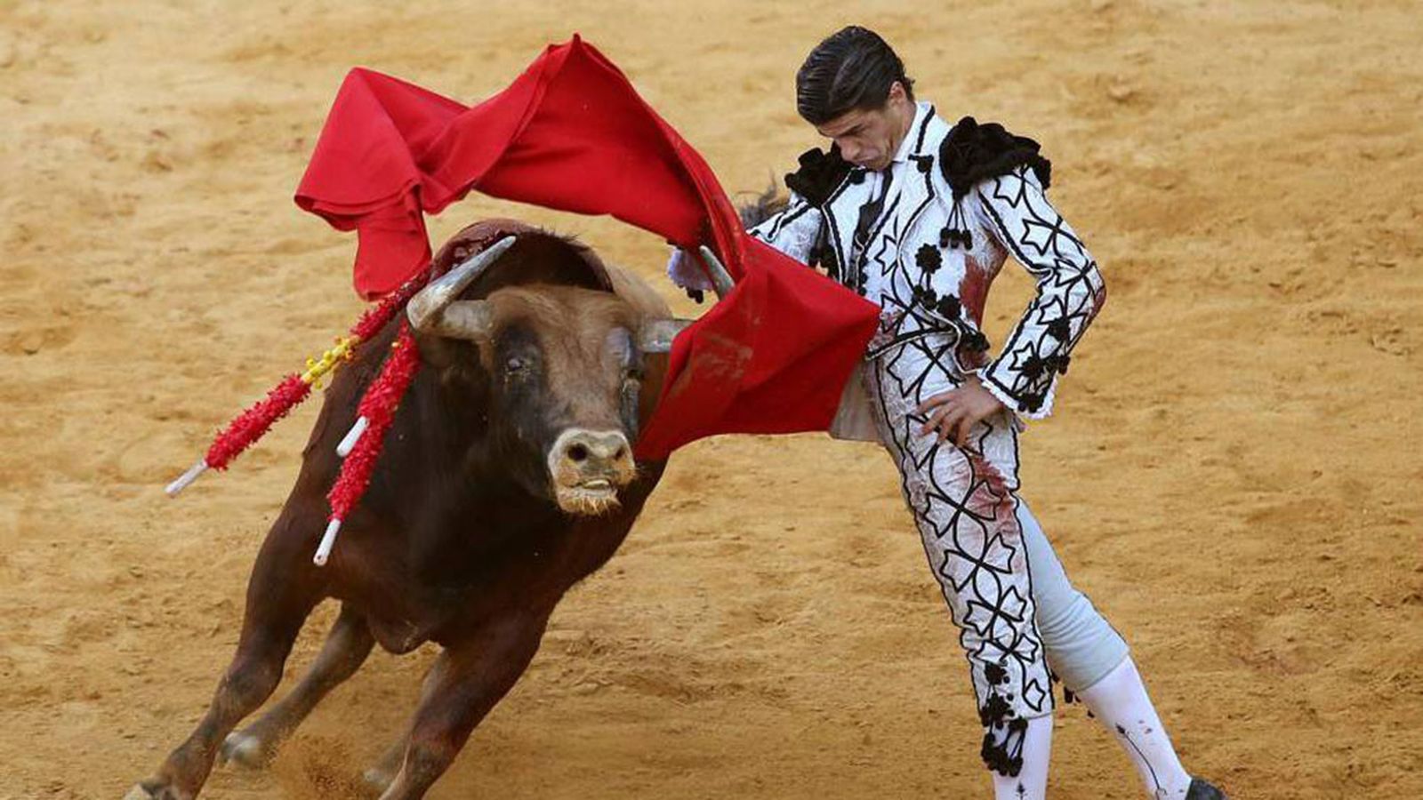 corrida_goyesca - 17/08/2020 - 15:10:17