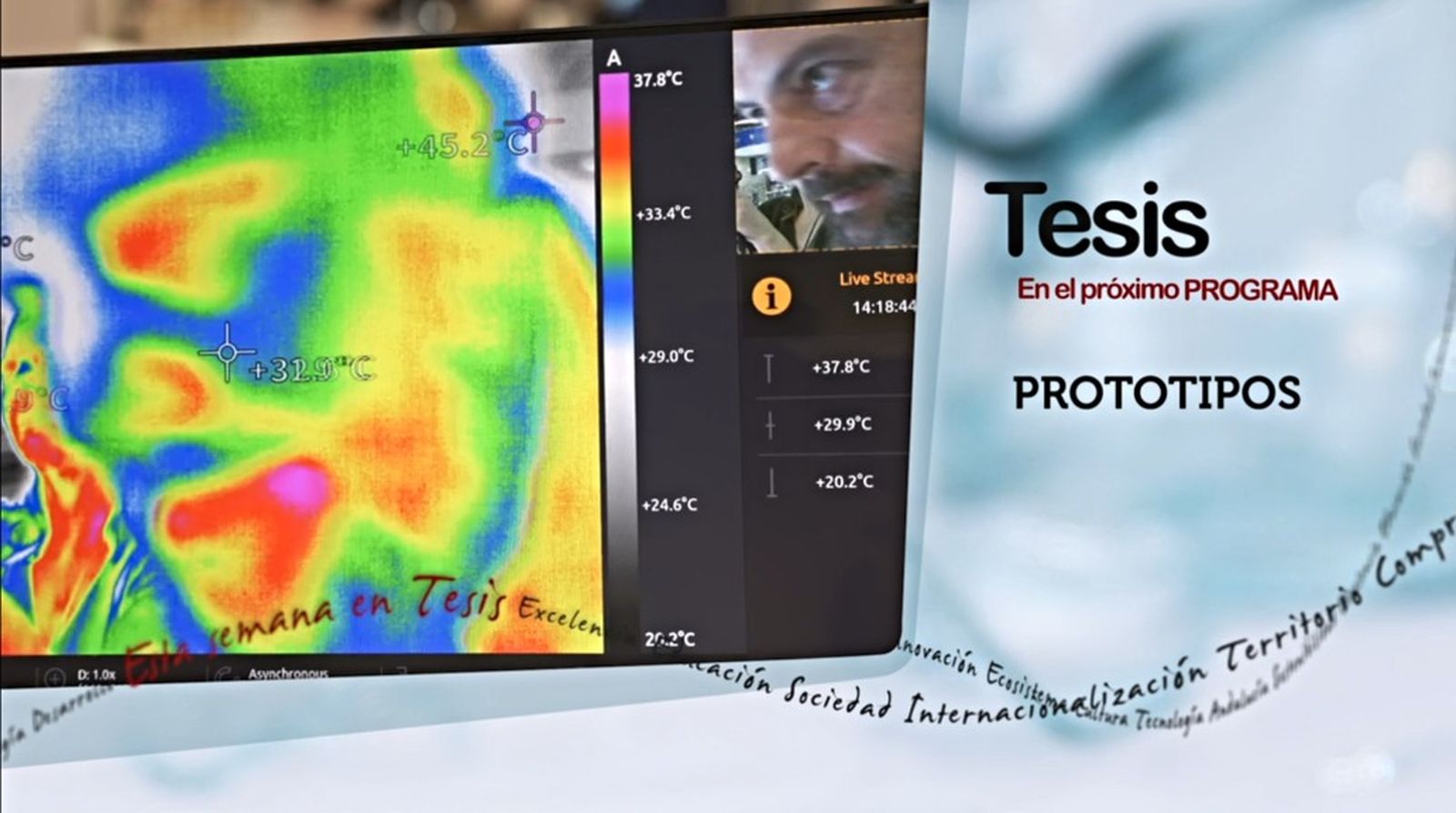 Tesis prototipos