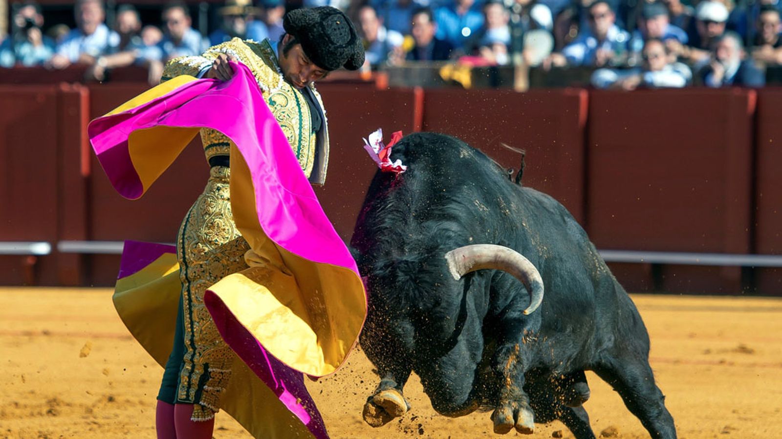 Morante de la Puebla capote 1024