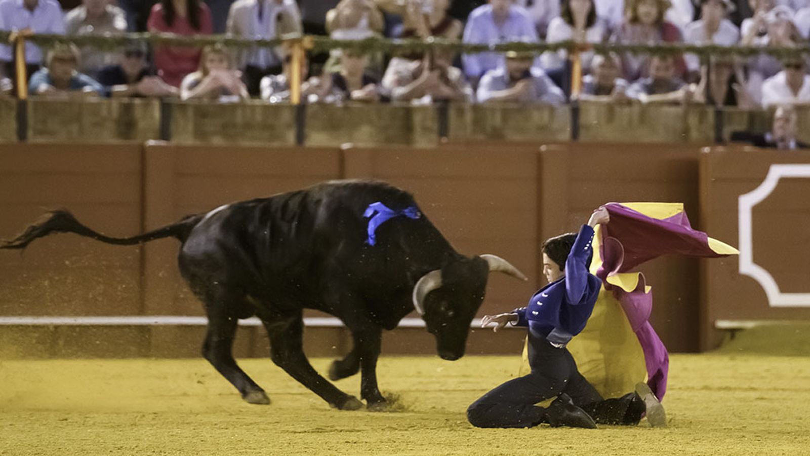 Faena de Marcos Pérez, el niño torero