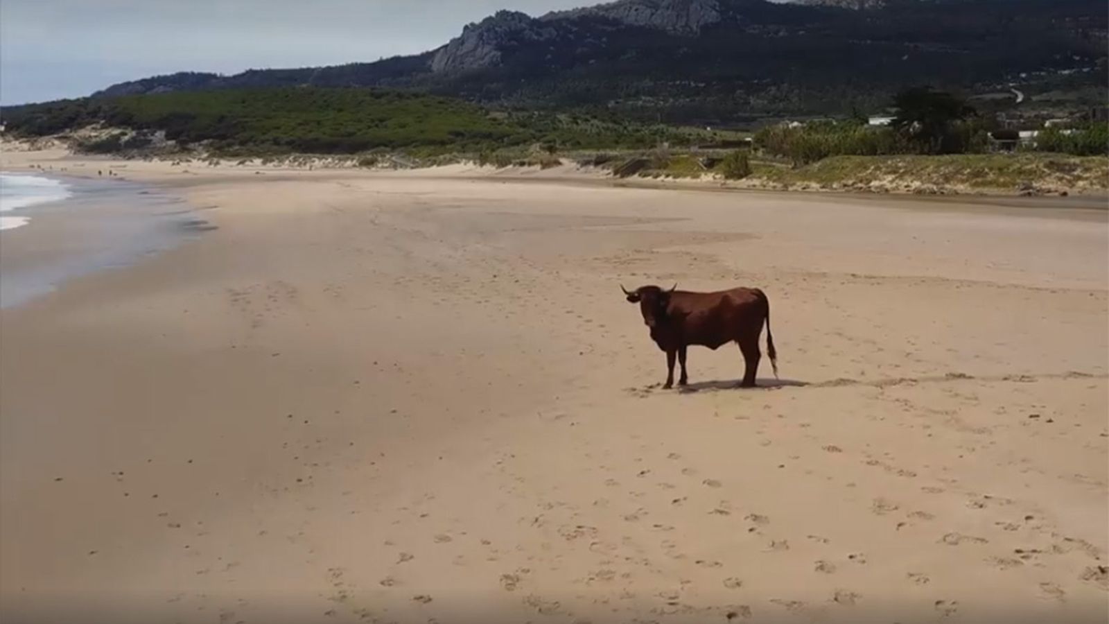 Destino Andalucia, 20 junio