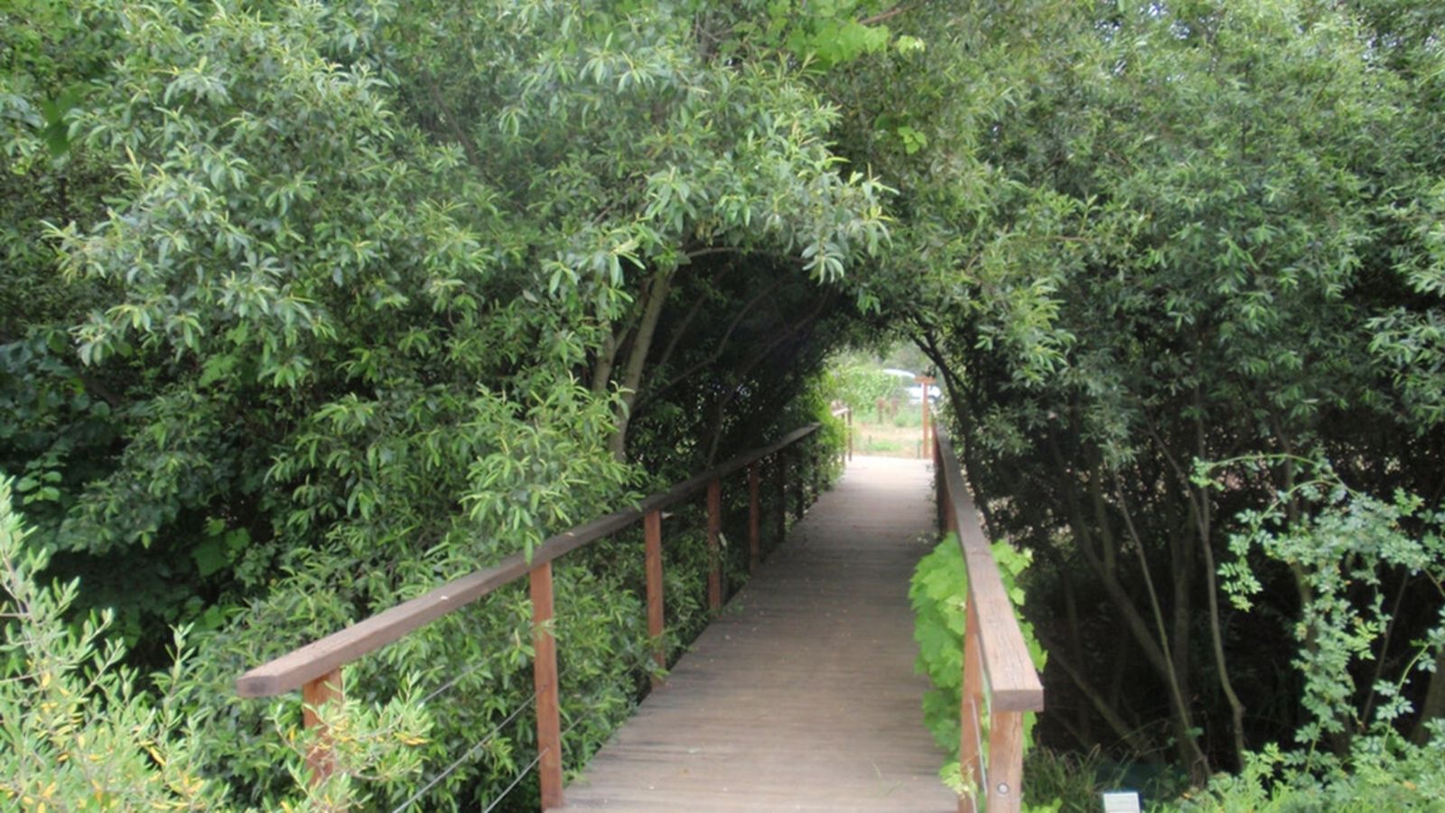 Espacio Protegido Jardín Botánico Dunas del Odiel