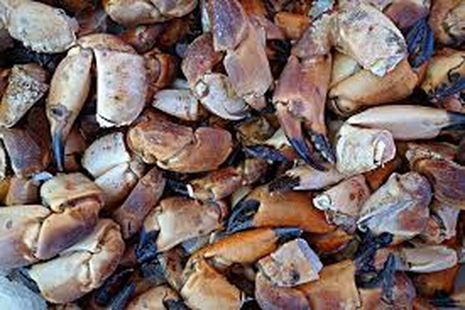 CANGREJOS