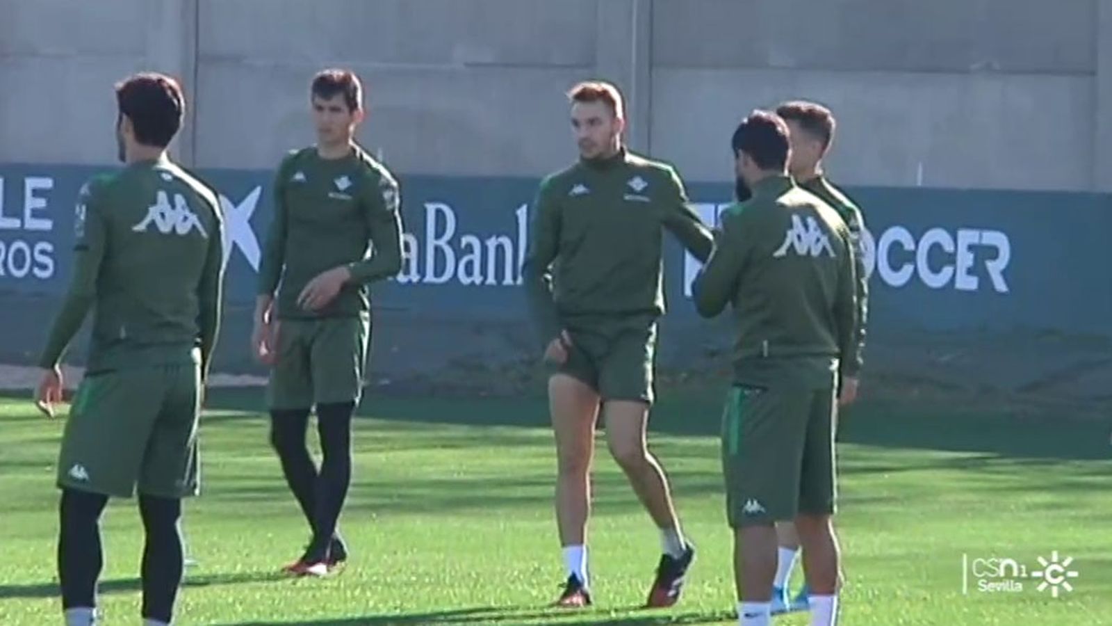 tapa betis