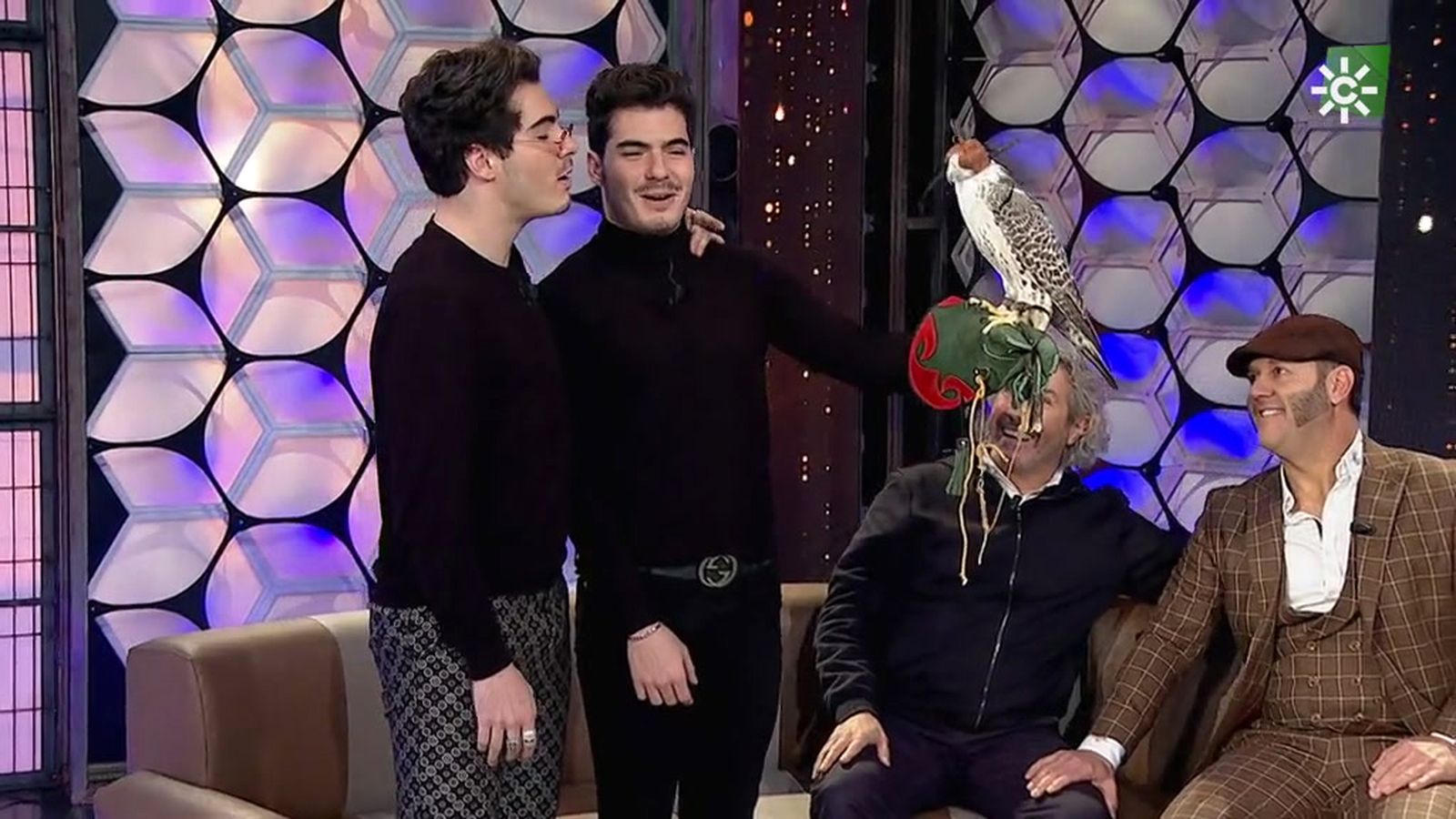 Los Gemeliers se atreven a cantar con un halcón imitando a Paco Candela