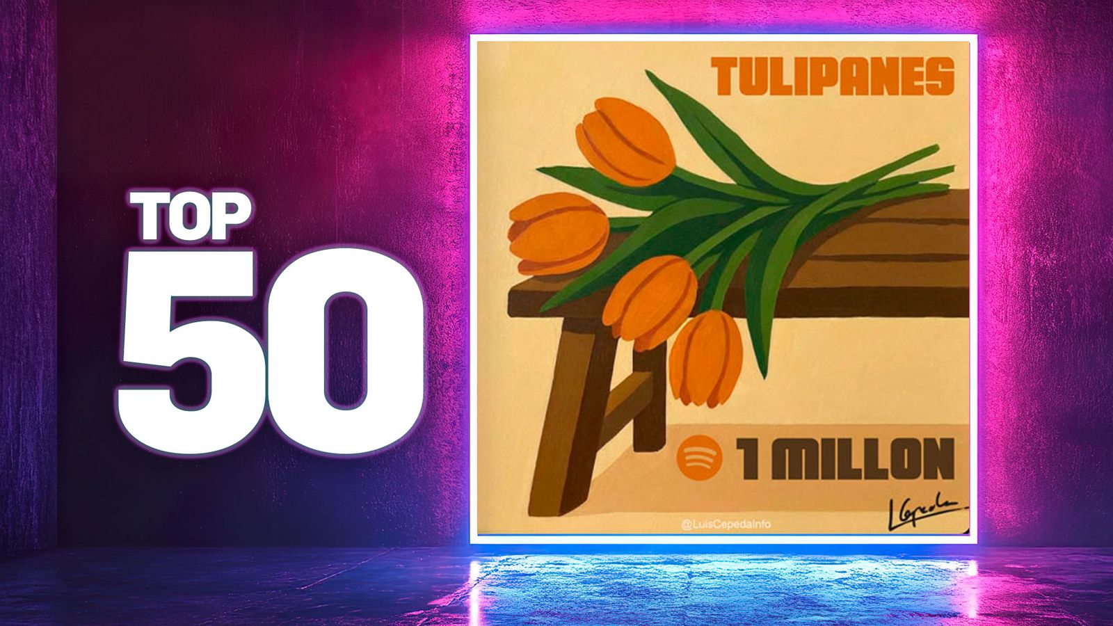 Top50 Cepeda Tulipanes