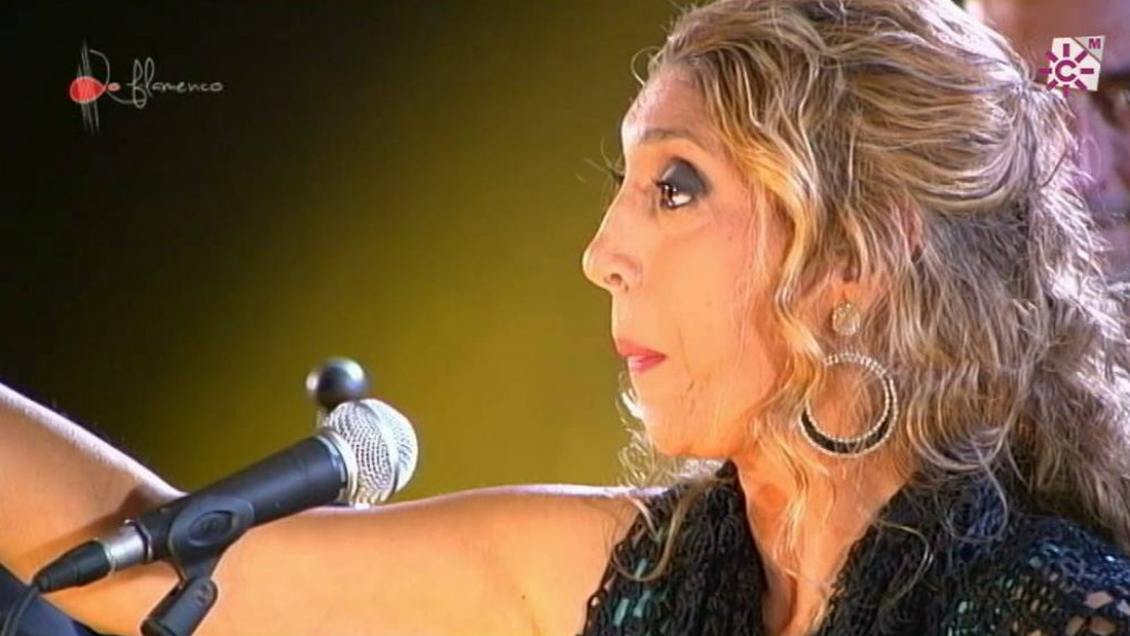 Esperanza Fernández Lo Flamenco
