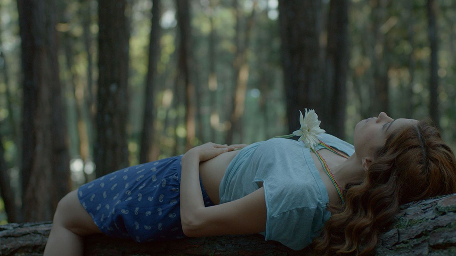 Cine, La noche de las dos lunas
