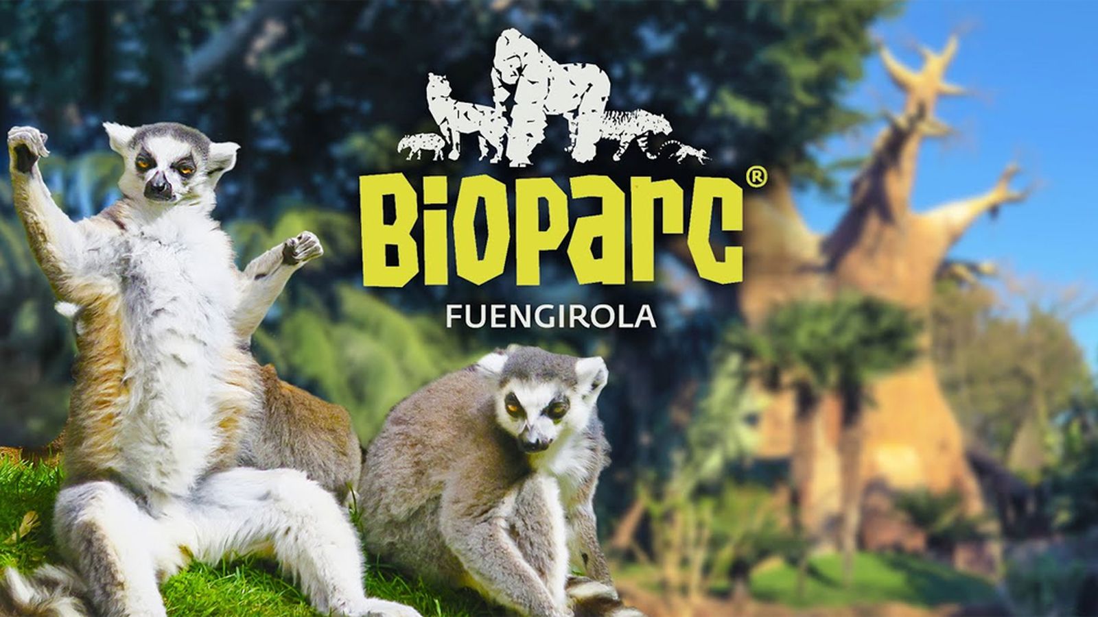 Comunicación Espacio Protegido Bioparc Fuengirola