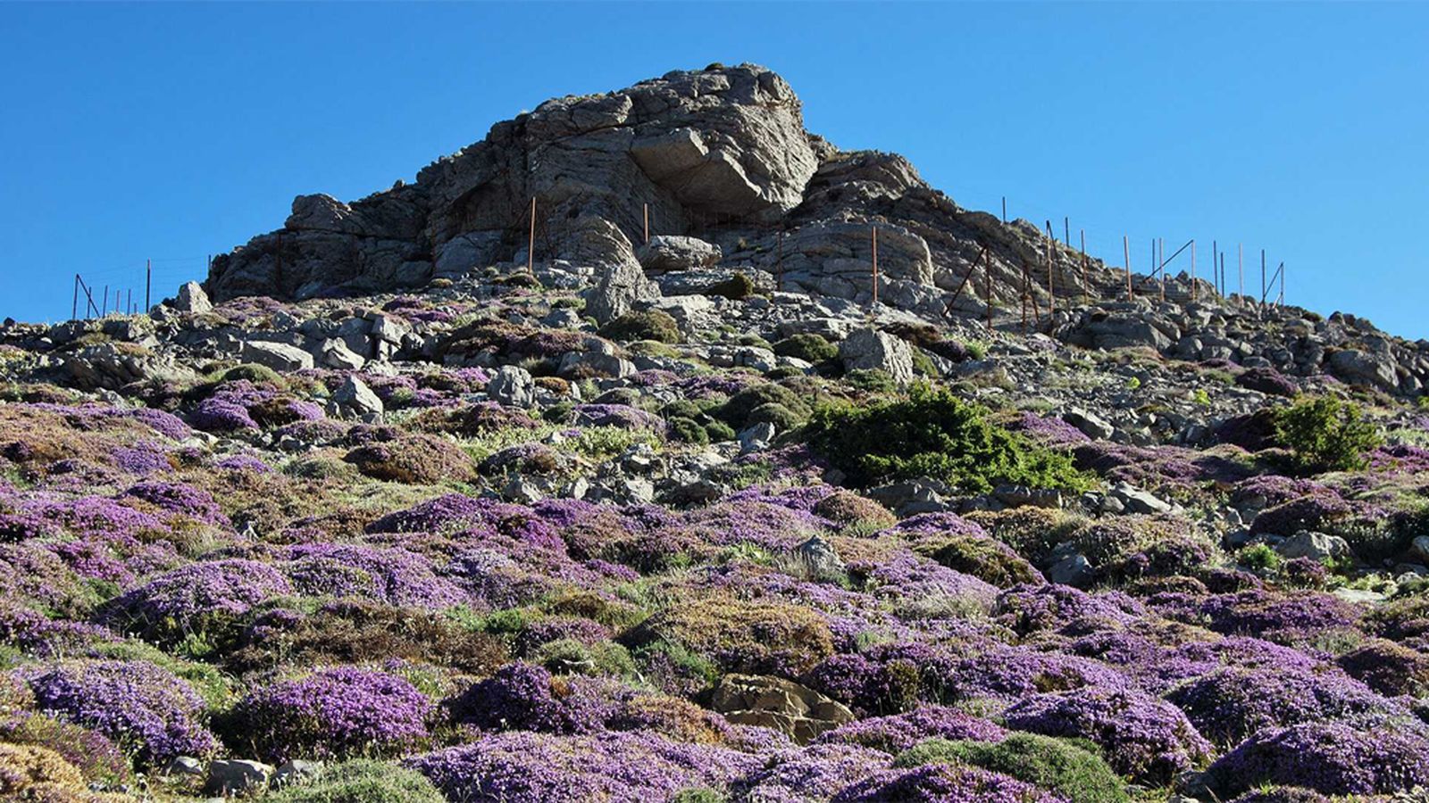 Comunicación Sierra de las Nieves