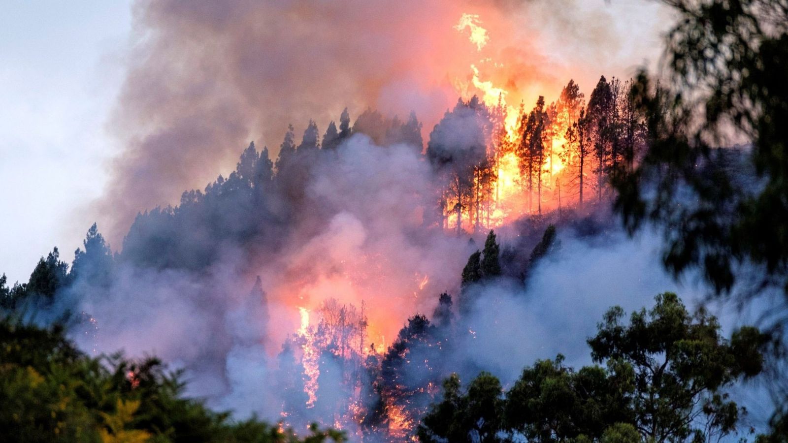 El  origen del 70% de los incendios de este verano está por esclarecer