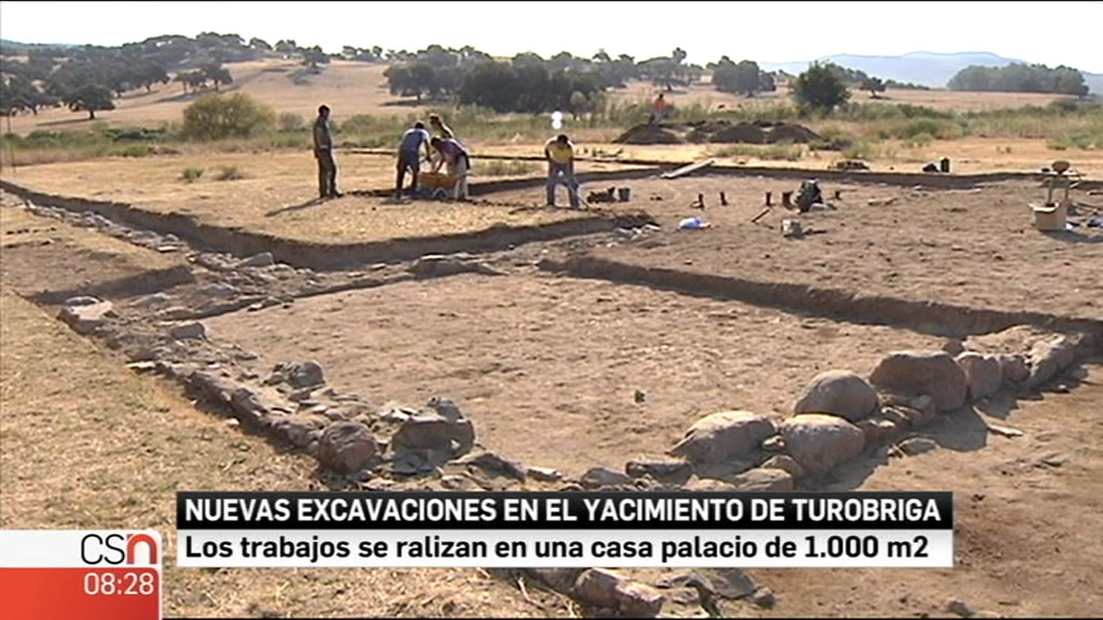 Turobriga
