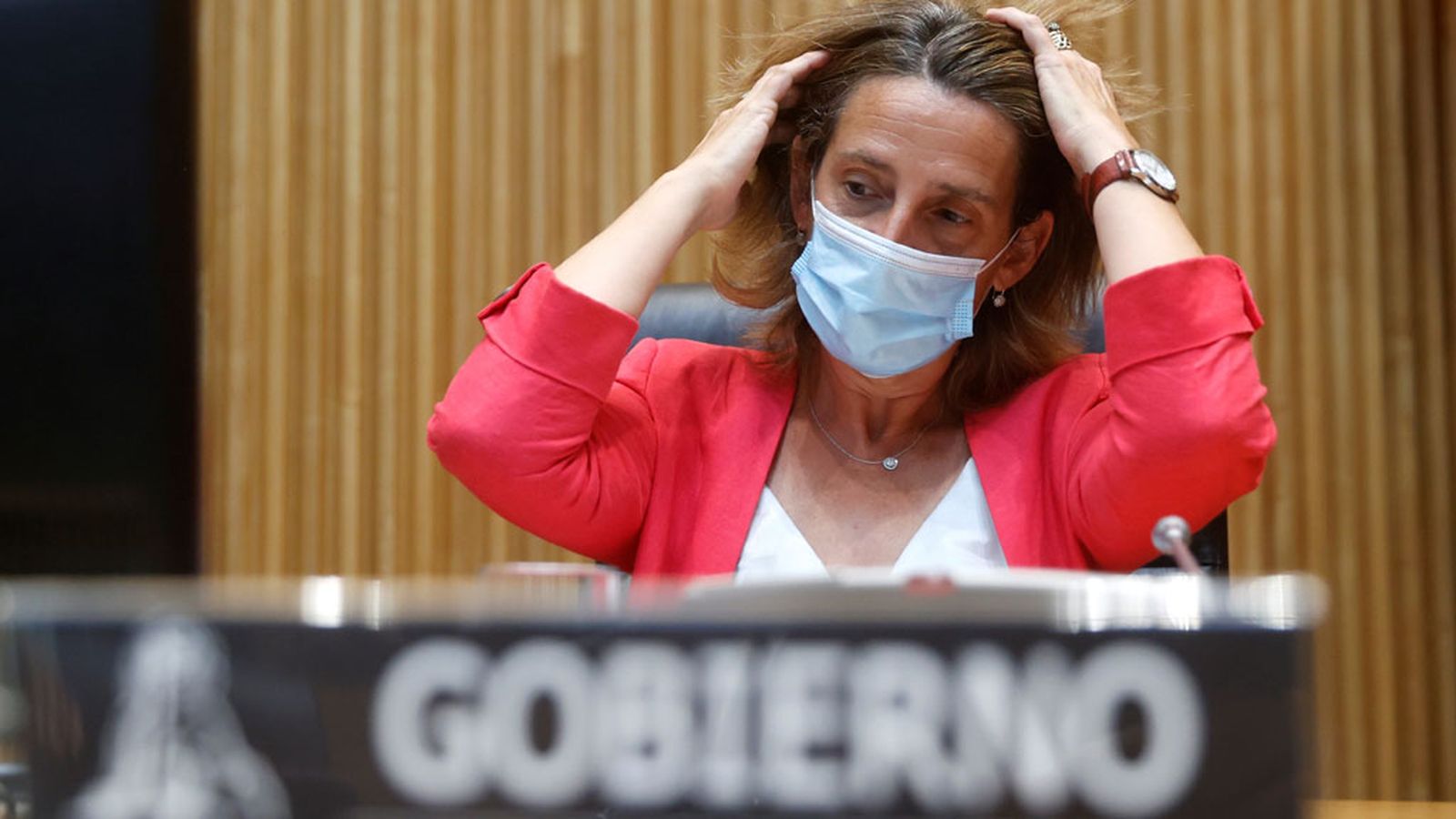 Teresa Ribera, vicepresidente y ministra de Transicón Ecológica