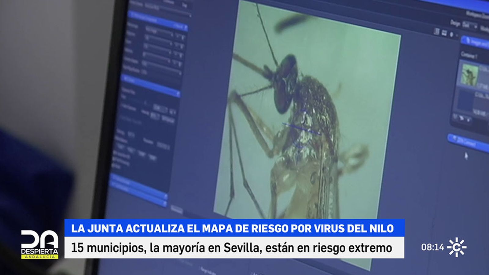 tapa virus del nilo