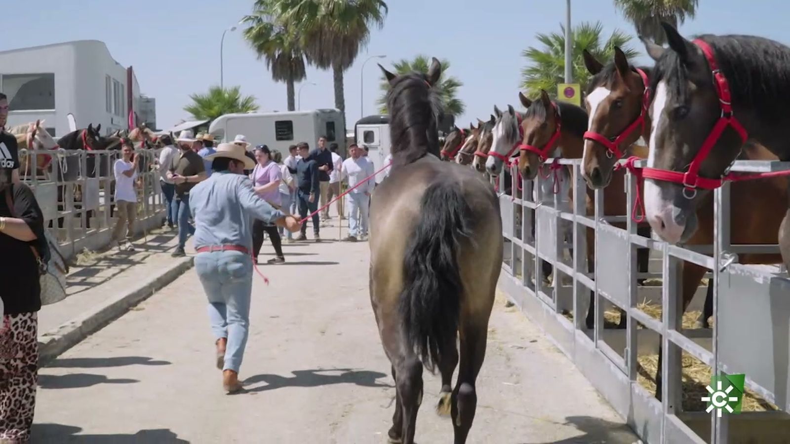 La Feria Agroganadera de Los Palacios, mucho más que un gran encuentro de negocios