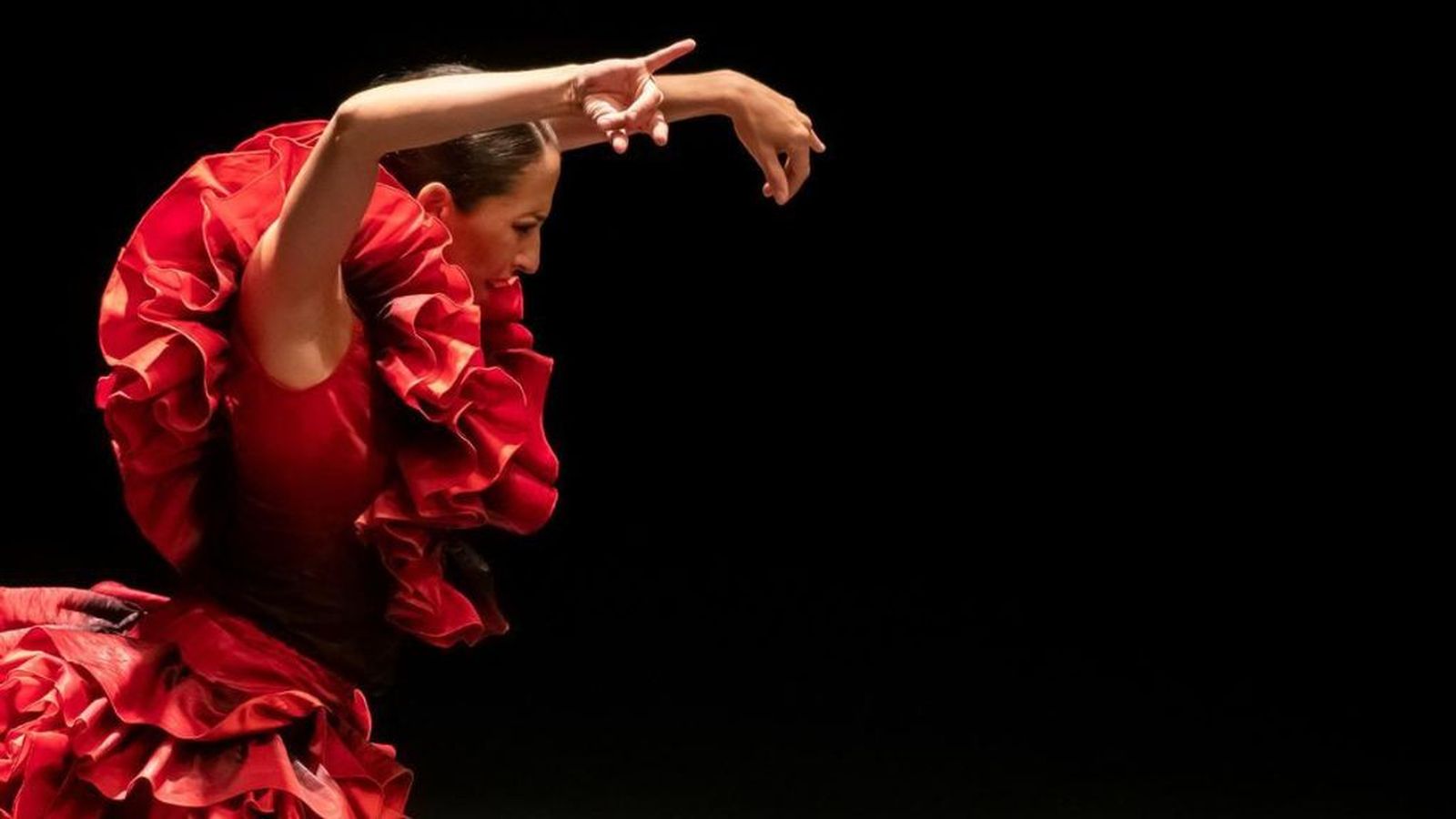 Flamenco 1024