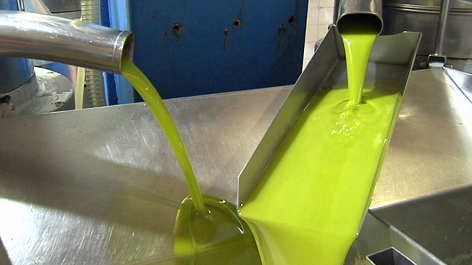 Primer aceite temporada Jaén 1024