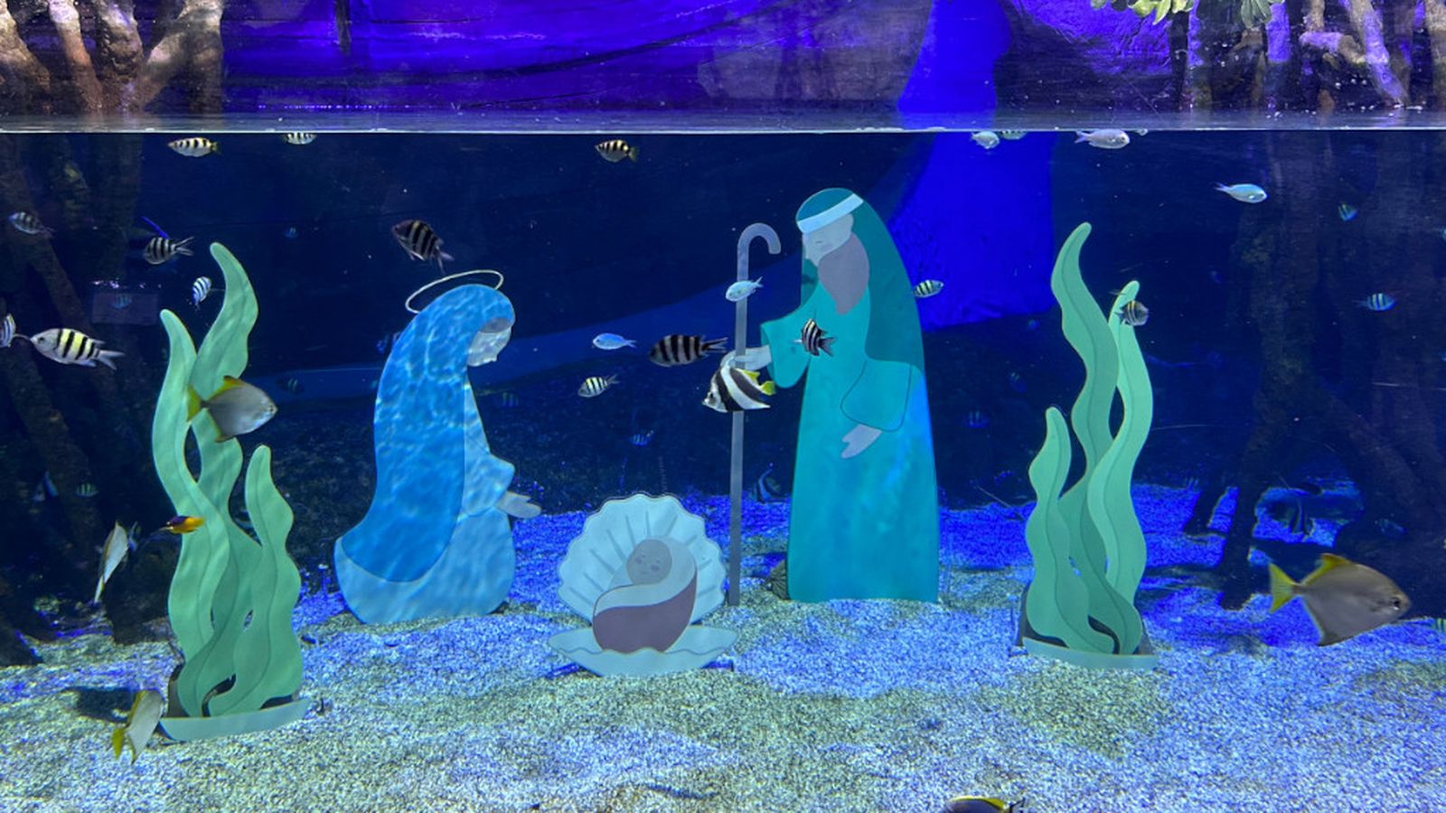 belen acuario sevilla