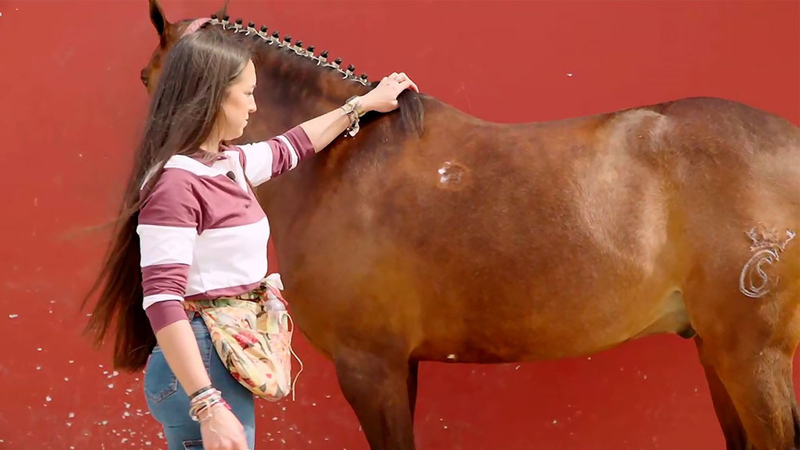 Tradición y técnica en el trenzado de crines para engalanar a los caballos
