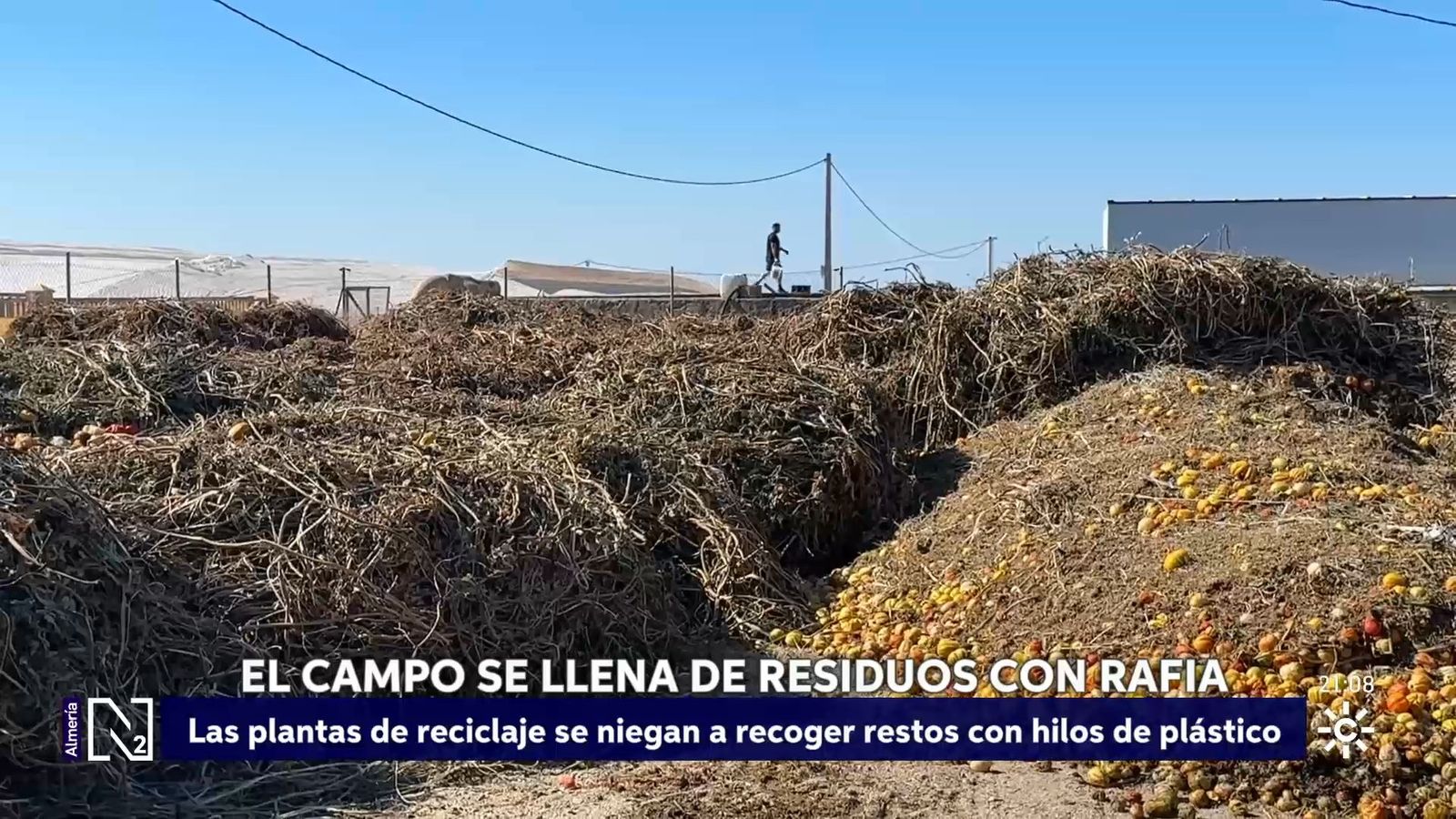 Residuos plásticos en el campo de Almería