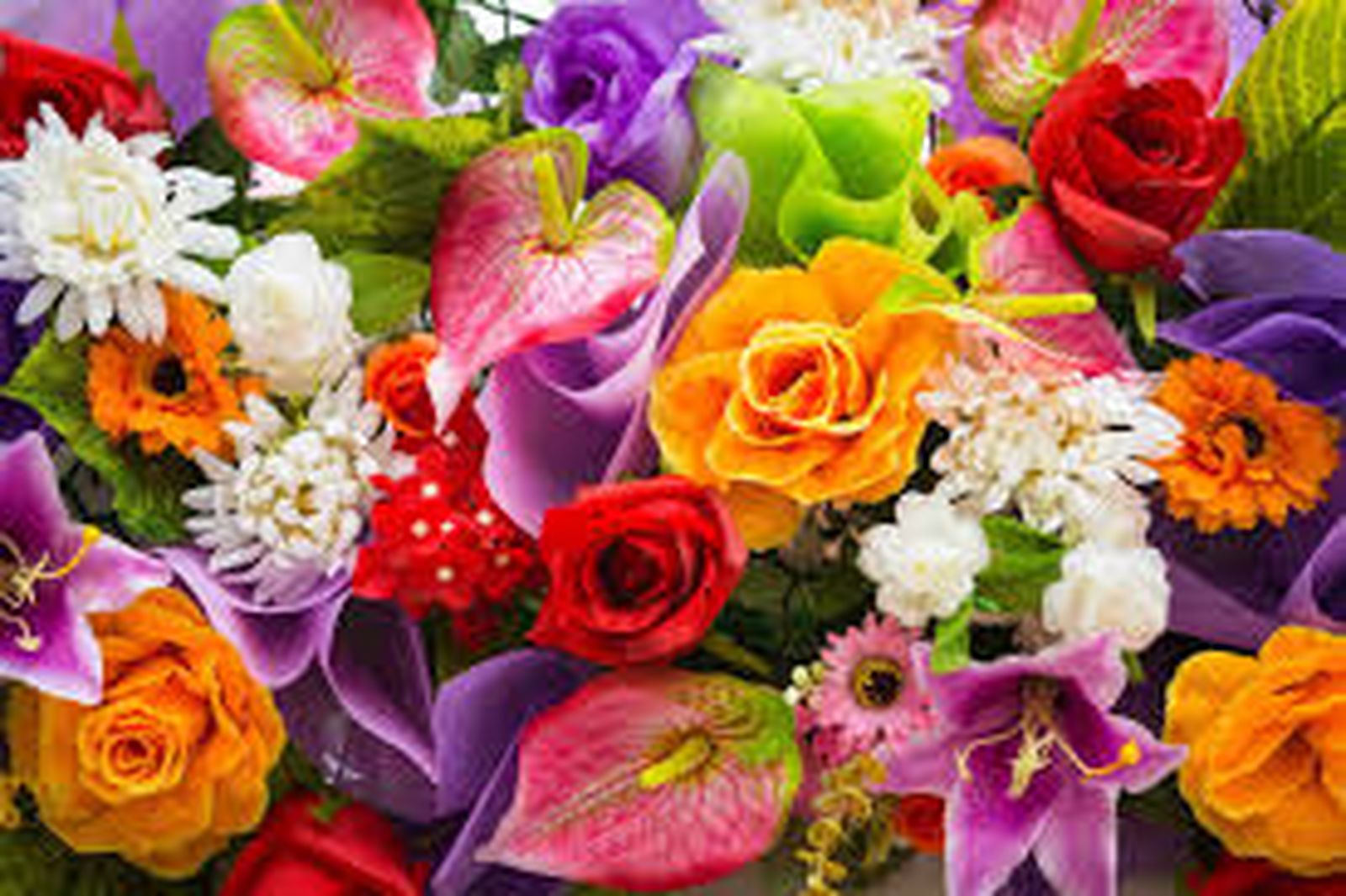 flores