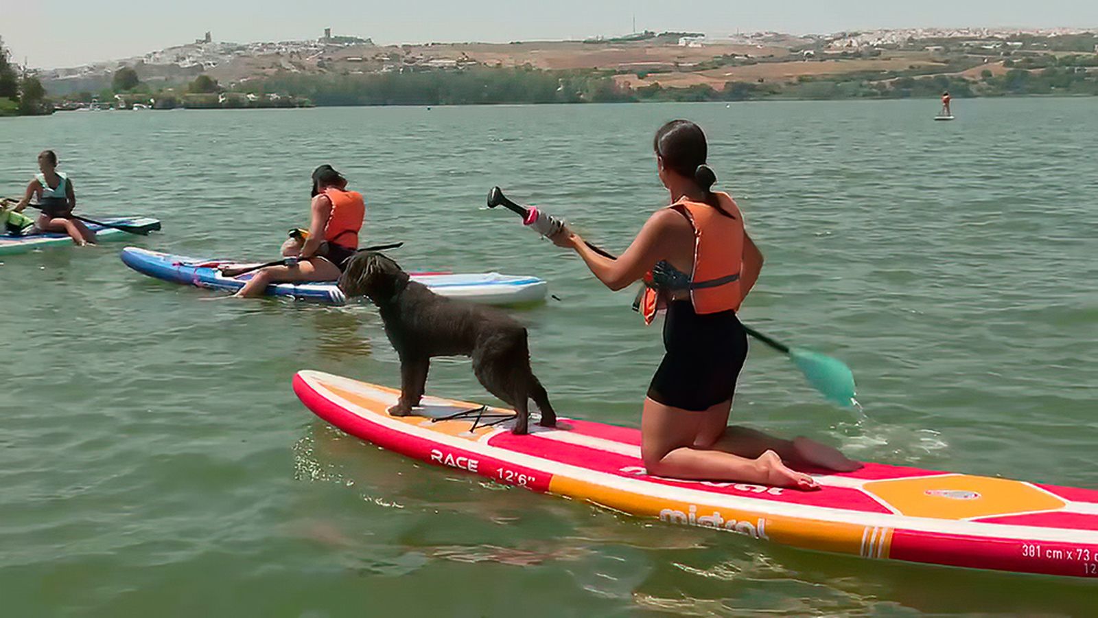A toda costa, paddle surf perros en Arcos 22/09/25   1024x576