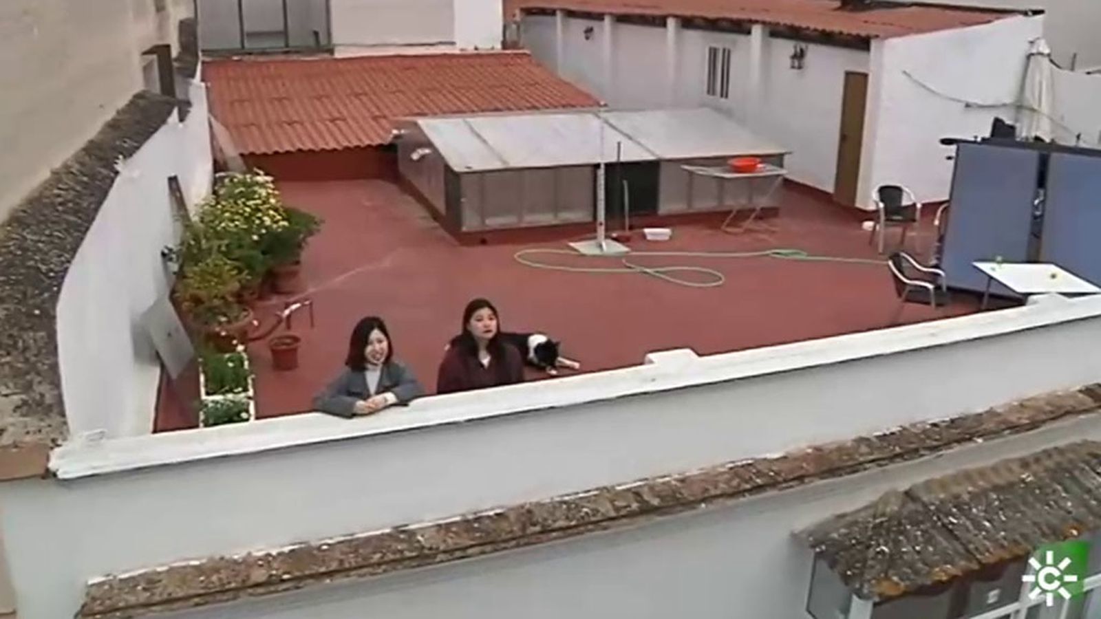 FOTO CHINAS CONFINADAS EN ESPAÑA