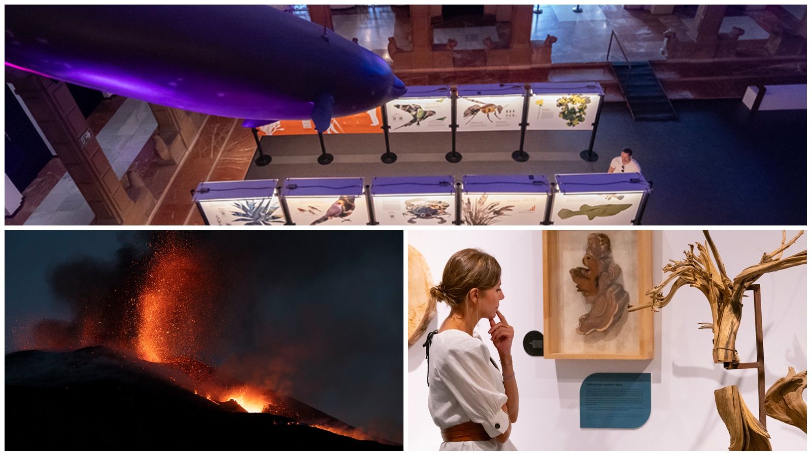 Exposiciones en la Casa de la Ciencia de Sevilla.