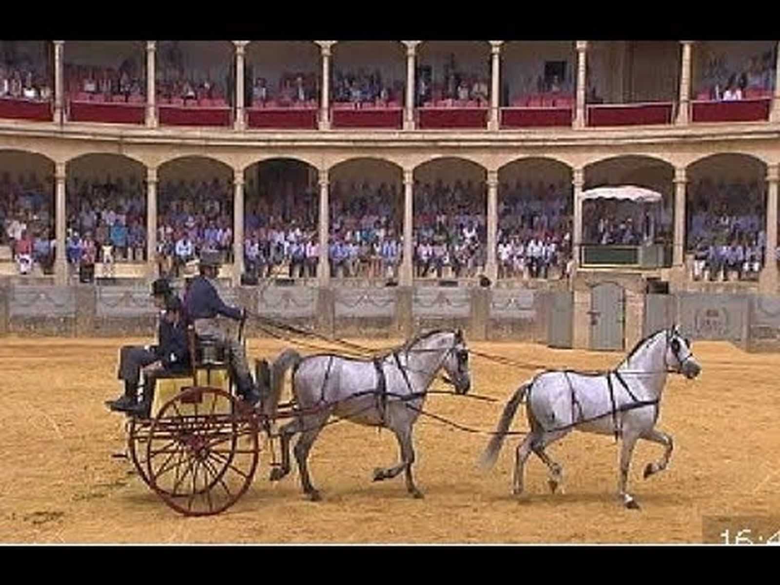 Feria de Ronda: Concurso de enganches en la Real Maestranza de Caballería