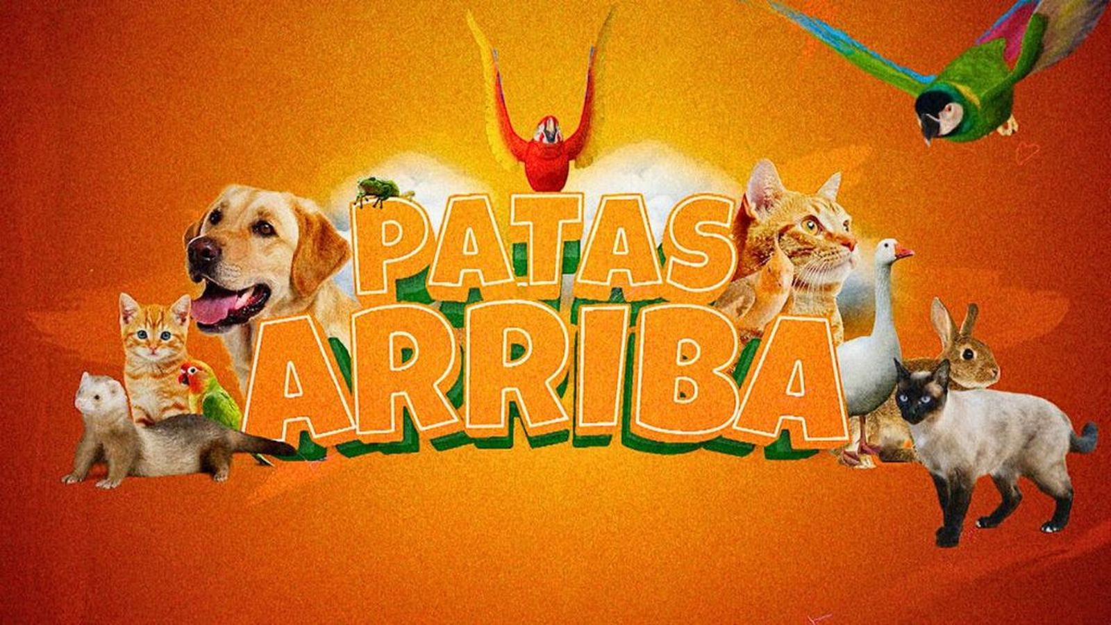Patas Arriba