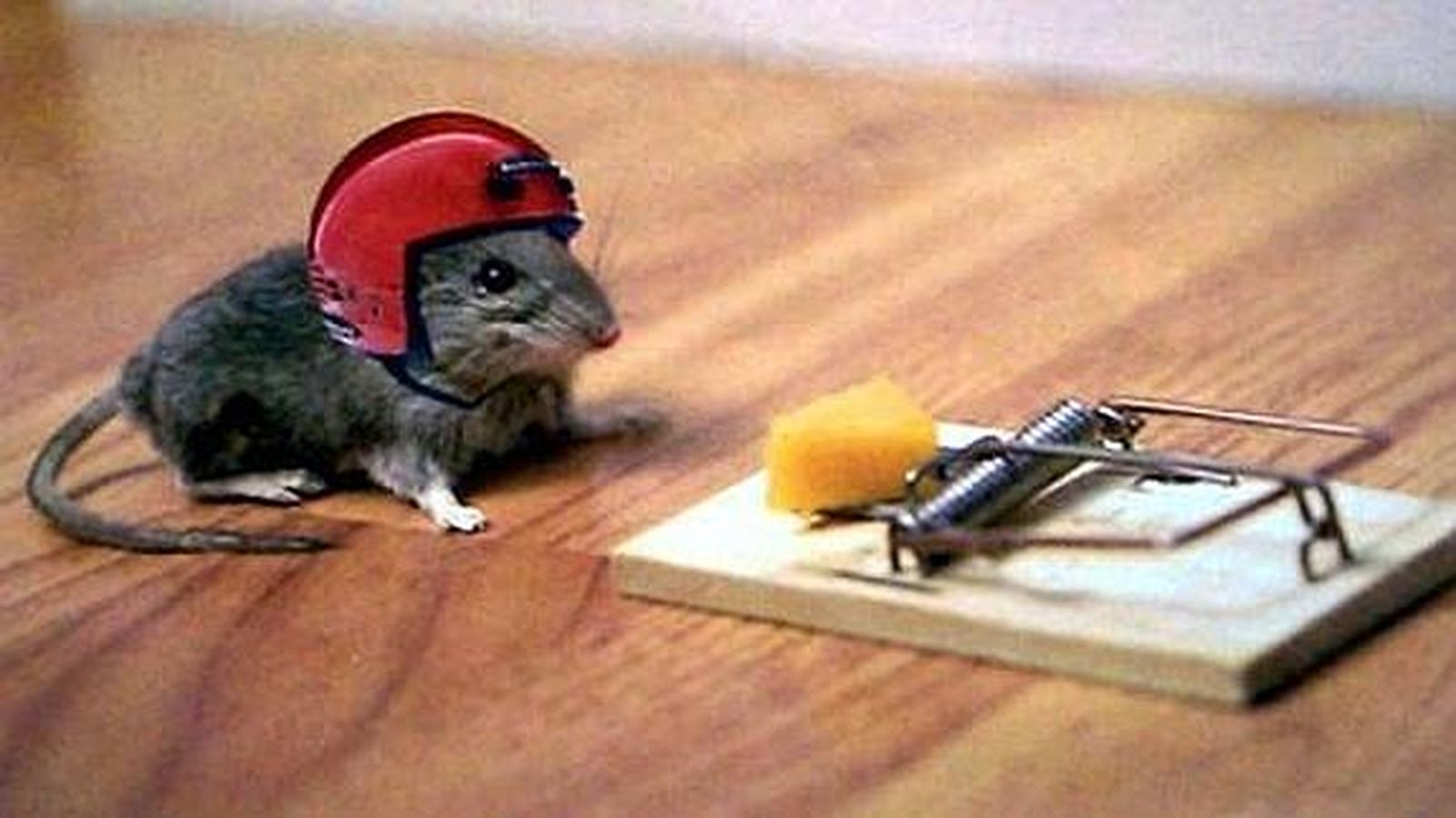 RATÓN