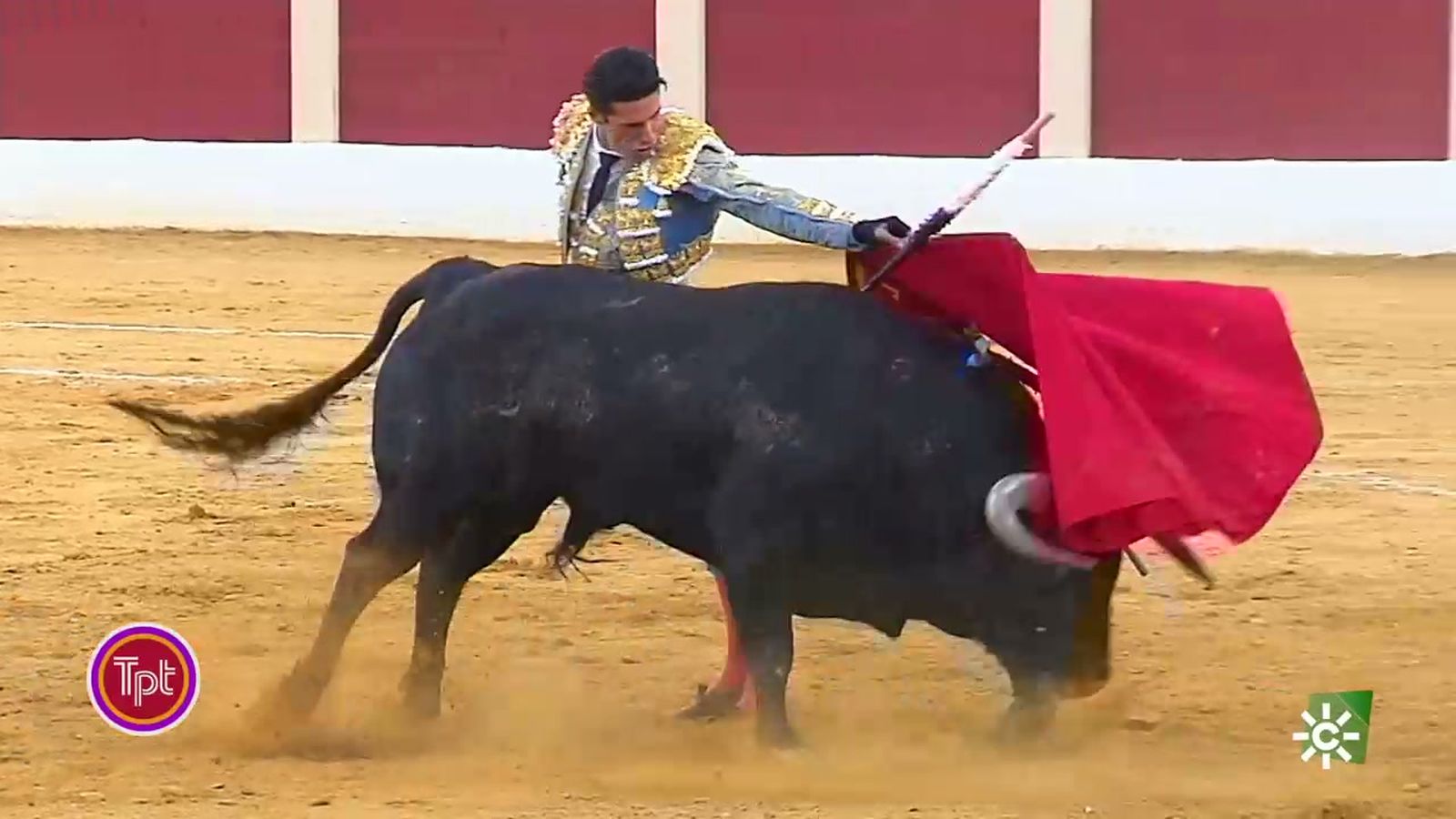 Alejandro Talavante brilla en la Corrida del Renacimiento, en Baeza