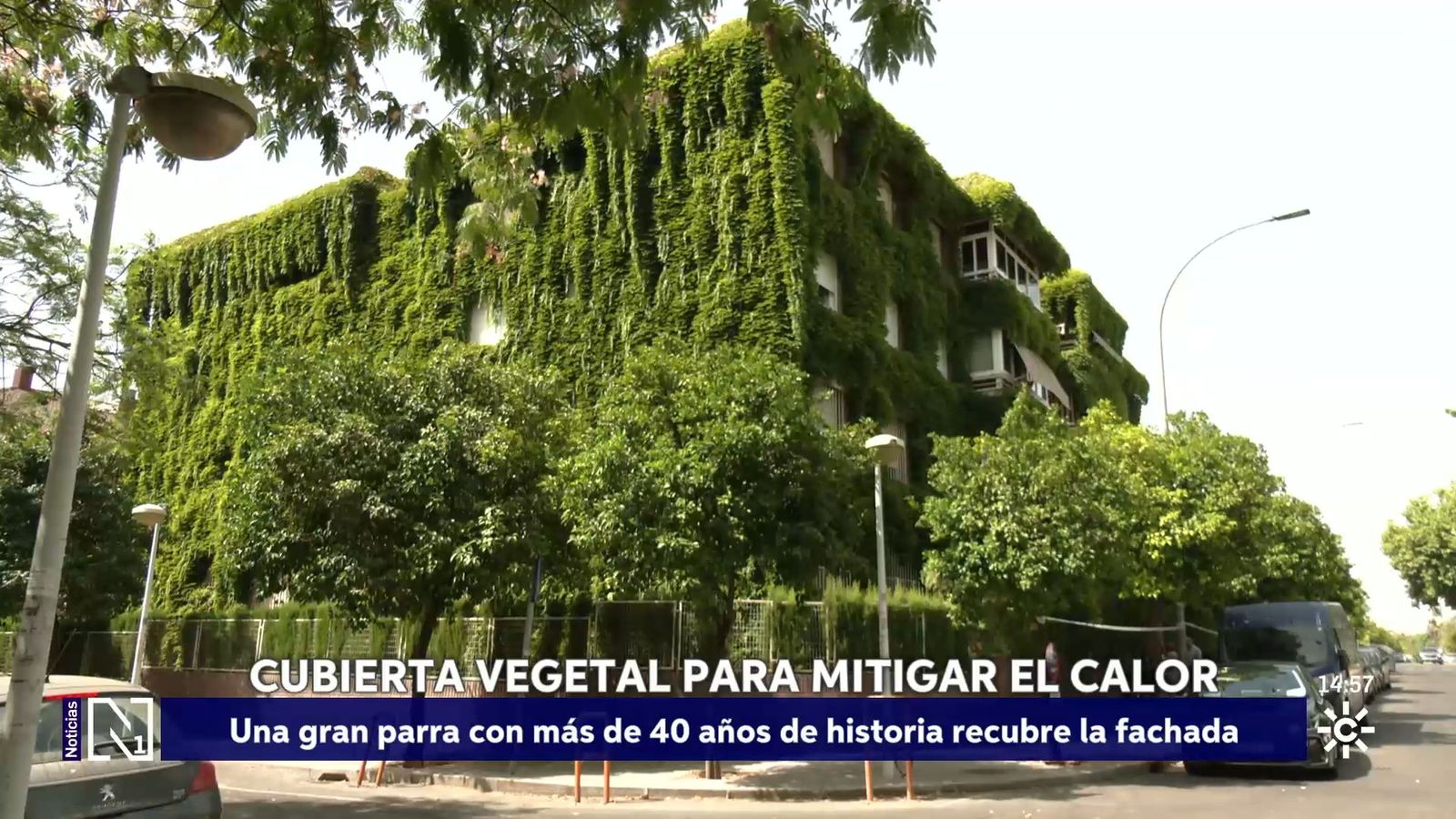 Cubiertas vegetales para mitigar los efectos del calor