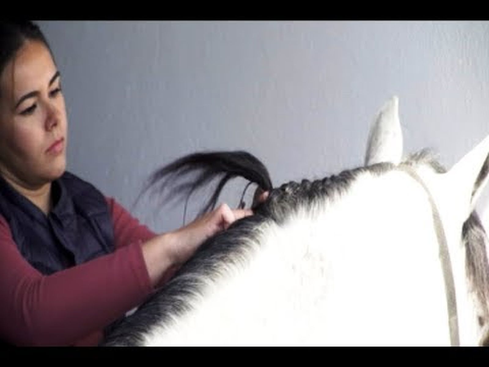 Caballos: cómo trenzar crines y hacer colas de caballo | Todo Caballo